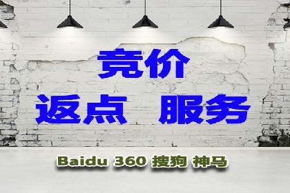 某SEM主管的跨平台广告投放策略与成果